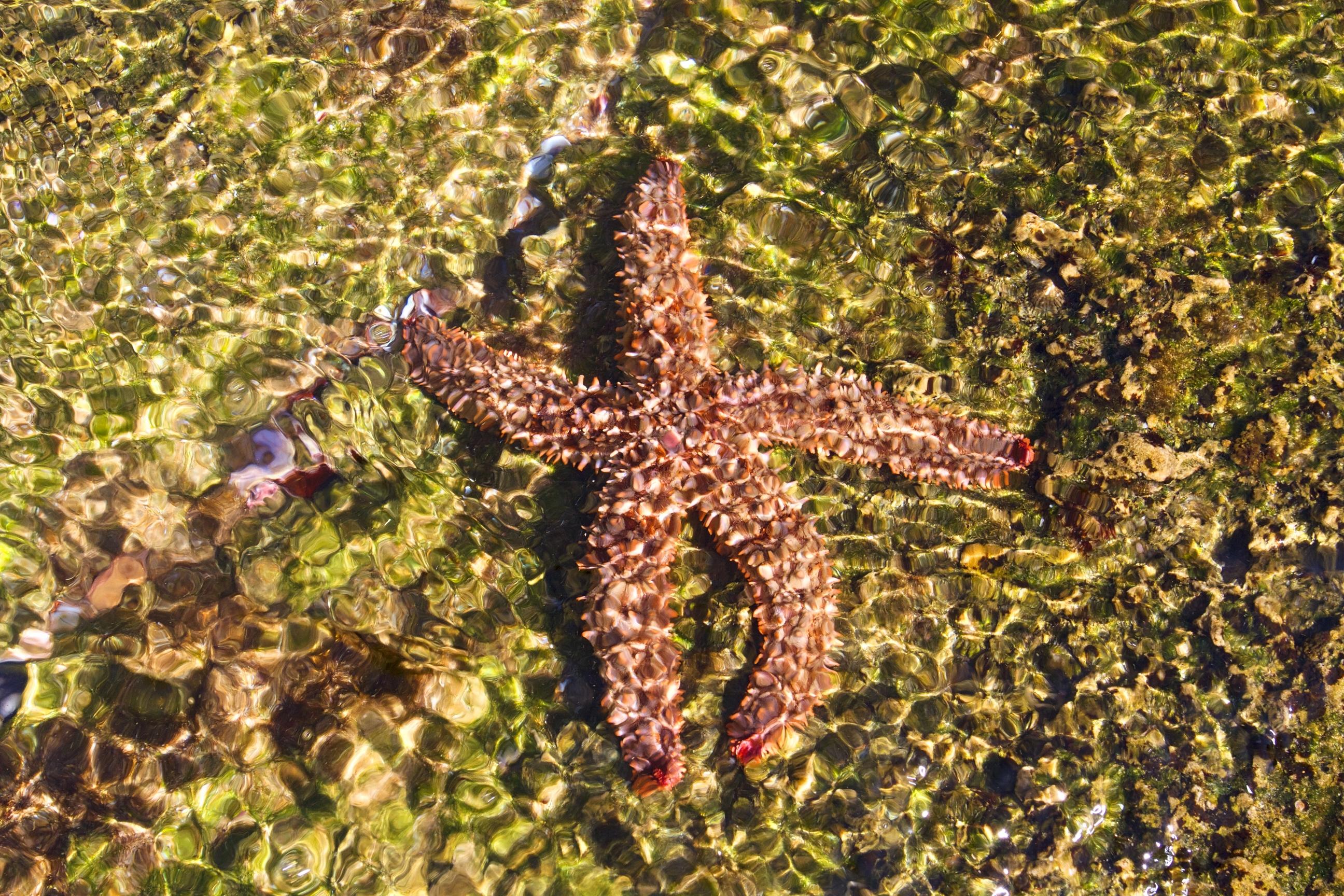 مبيت وإفطار سيدجفيلد Kambaku @ Sea المظهر الخارجي الصورة